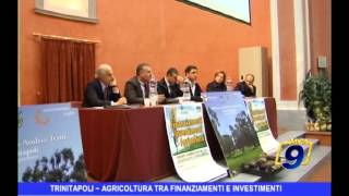 Trinitapoli | Agricoltura tra finanziamenti e investimenti