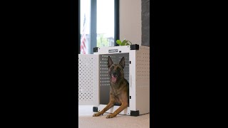 The High Anxiety Impact Crate
What’s your favorite Impact Crate? 🐾
#ImpactDogCrates #DogCrate #DogParents #BuiltForDogs #PetSafety The High Anxiety Impact Crate