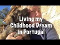60 Year old SOLO WOMAN builds her dream OFF-GRID HOMESTEAD in CENTRAL PORTUGAL