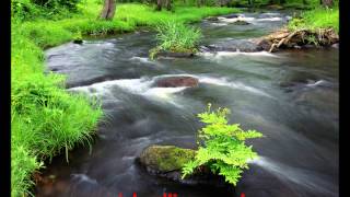 Free Hypnosis Sessions - Calm and Motivation screenshot 3