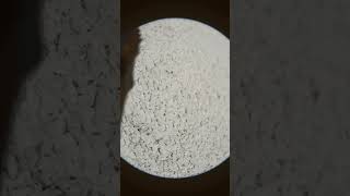 edit atrociraptor ghost vs hererasauro