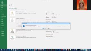 Project 3b   Removing Private and Confidential Data from a Workbook