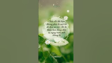 Tại Sao Biến Đổi Khí Hậu Đang Đe Dọa Tương Lai? #racthainhua #onhiemnhua