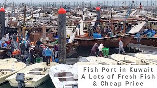 Fish Port in Kuwait (Sharq) l Lots of Fresh Fish &amp; Cheap Price