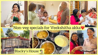 Non-Veg Specials For Veekha Akkaspurthi Vlogs