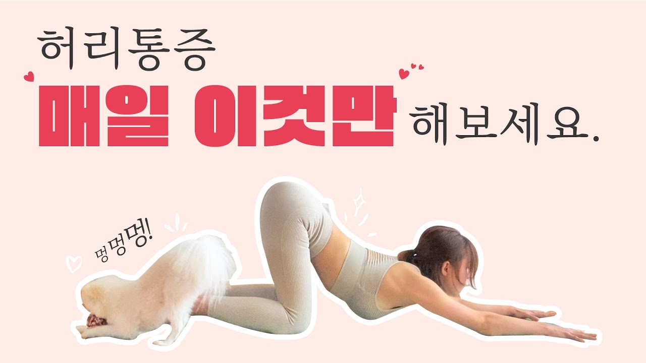 마사지 보다 시원한 허리통증 잡는 요가 / 귀여운 강아지와 함께 🐶