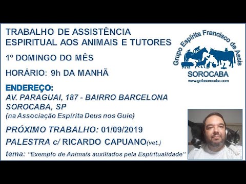 Assista: Palestra presencial - c/ RICARDO CAPUANO (01/09/2019)