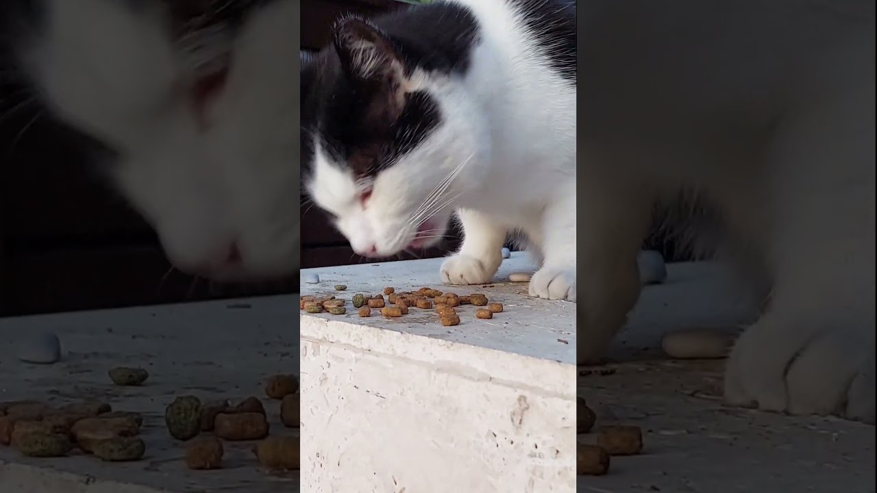 Ах, какая вкуснотища😊 