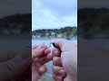 #fishing #saltwaterfix #fishingtips #gtknot #beginnerfishing #carpfishing #easyknot #bassfishing