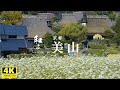 【和み】京都・美山（かやぶきの里）日本の古き良き町並みをお楽しみください。／WABISABI（4K映像）