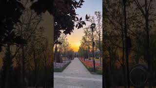 Красивый Весенний Душанбе Таджикистан Сегодня 2023 #Tajikistan #Dushanbe