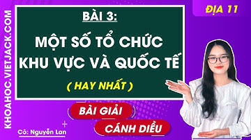 Địa lí 11 Cánh diều Bài 3: Một số tổ chức khu vực và quốc tế (HAY NHẤT)