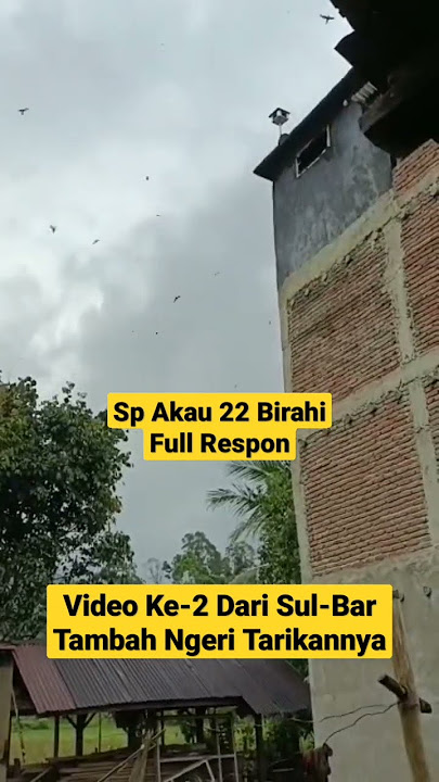 SUARA PANGGIL WALET INI BISA BIKIN GALAU TETANGGA 😱 #shorts #petaniwalet #spakau22birahi