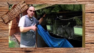 What To Do When Rabbits Won