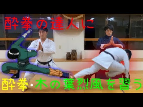 酔拳 中国武術　古い本　中国の体育と健康シリーズ16 Amazon.co.jp: 中国の体育と健康シリーズ16 酔拳中国拳法 武術
