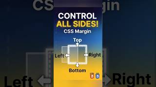Master CSS Margin Sides quickly (Top, Right, Bottom, Left Made Easy)