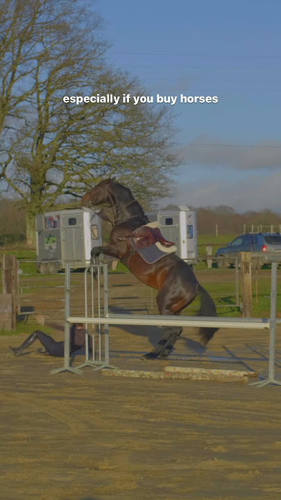 fall from horse 😱 #horse #cheval #fall #equitation #horseriding #equestrian #chute