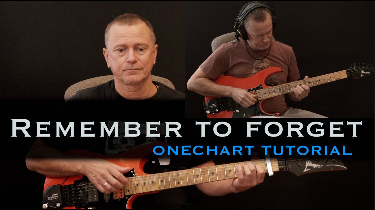 I Forgot To Remember To Forget - Guitar Chords/Lyrics