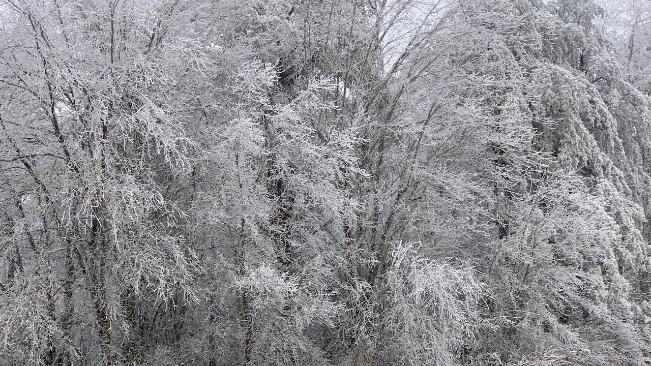 ICE STORM, FOG and PREPPING A TOWN AND COUNTRY TO SELL