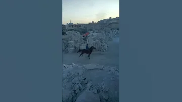 قيامة ارطغرل الجزء الخامس 