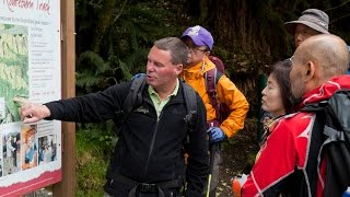 Key Summit, Routeburn Track Guided Walk Trips & Tramps
