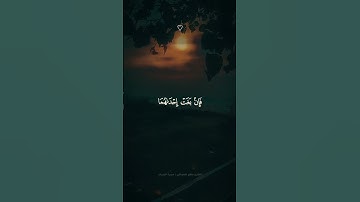 تلاوة خاشعة ومؤثرة تريح القلب 💚🎧 | #quran
