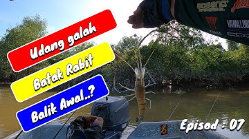Memancing Udang Galah Di Teluk Intan Ep: 07 | Balik Awal