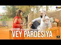 Shani gee  vey pardesiya  new punjabi song  official music 2022