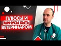 Профессия ветеринара плюсы и минусы после 10 лет работы