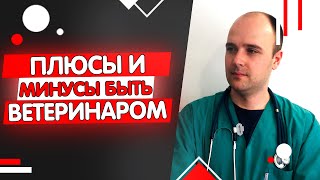 Профессия ветеринара плюсы и минусы после 10 лет работы Профессия ветеринара плюсы и минусы после 10 лет работы
