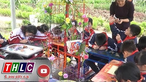 Nâng cao chất lượng giáo dục ở vùng đồng bào dân tộc thiểu số và miền núi | THLC