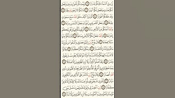 سورة نوح رقم 3