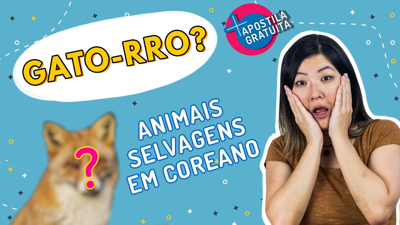 Animais selvagens em Coreano | Aula com a professora Aileen