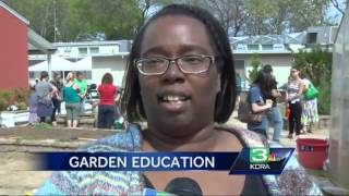 Gardening as an educational tool at schools