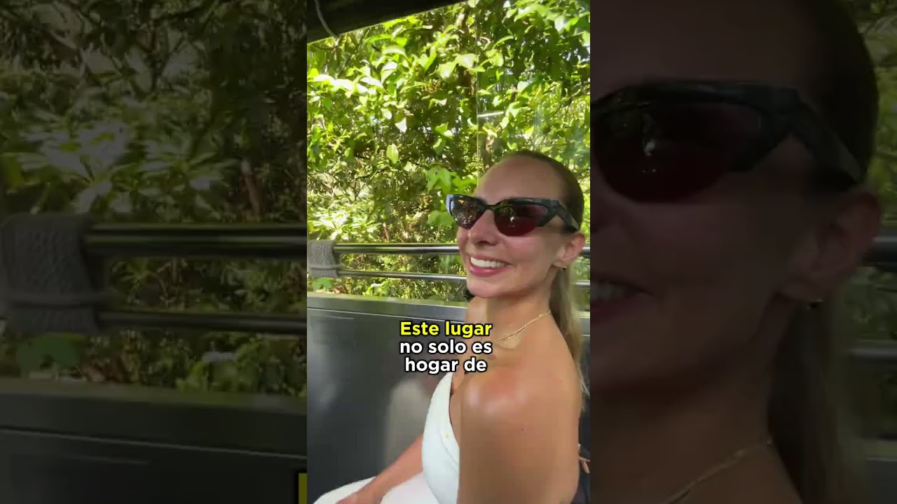 ¡Conoce al primate más raro de Vietnam! | Langur Jaspeado | Versión completa en mi IG @marialaura.co