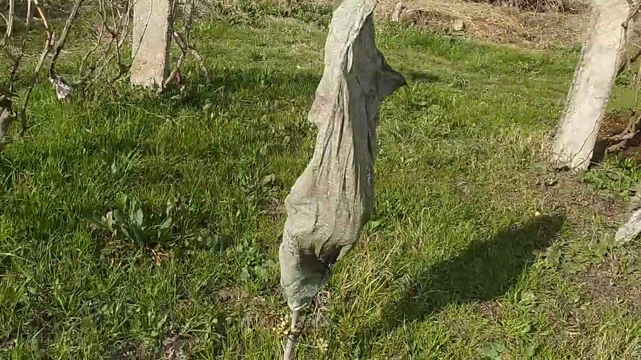 10 марта 2026 г.