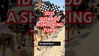 Iditarod 2025 - Death On The Ice - A Shocking Turn