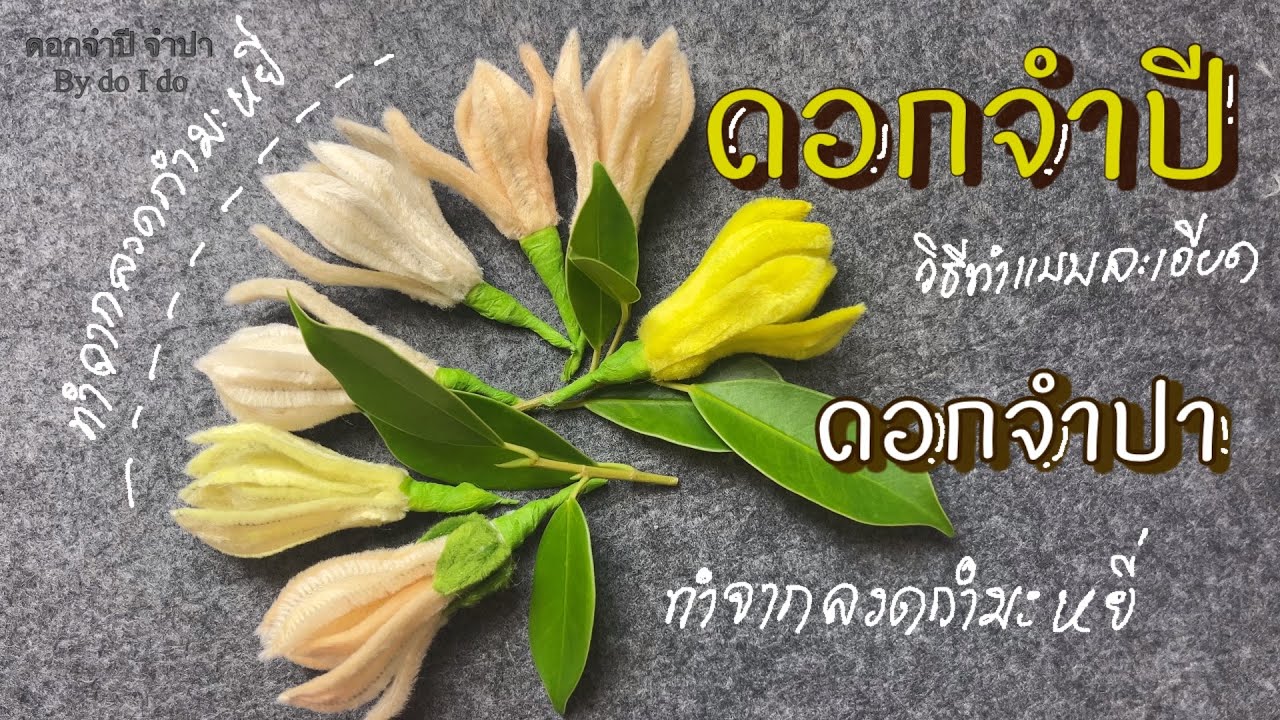 วิธีทำดอกจำปี ดอกจำปา