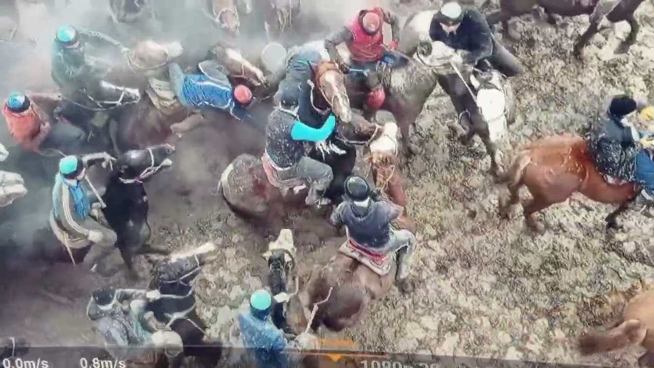 27 января 2024 г өткен Аққұм ат шабарында салымды болған аттармен шабандоздар,тартысты көкпар