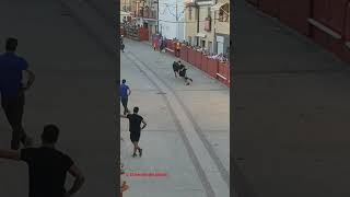 03 Cadreita fiestas de la juventud 23