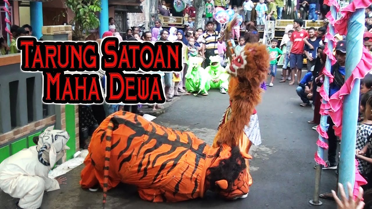 Aksi Tarung Sato Hewan Burok Maha Dewa | Live Ds Ciawi