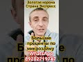 Большие проценты, по закону ли это? Как посчитать максимальный долг? #заем золотая корона корона пей