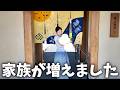 【大切なご報告】新しい家族が増えました。