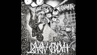 Sulfuric Cautery / Hacked Apart - Split (2025)