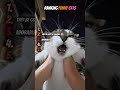 I Ranked the Funniest Cats on the Internet 😂 #funnycats #adorable #cute #dancingcat