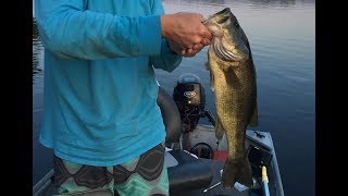 Chickahominy Lake Fishing - Overview and Tips