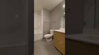 1 Bed 1 Bath - Boston - South End