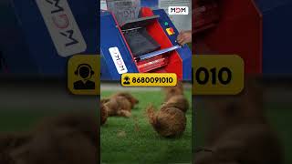 🔥 இந்த Machine இருந்தா Labour தேவையே இல்லை!  - MDM coco Husker machine #shorts #reels