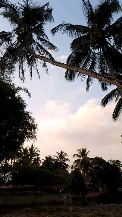 Karambia Condong #shorts