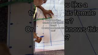 Suit drafting Tutorial made easy